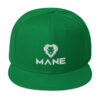 snapback-kelly-green-front-601b5e071a575.jpg