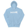 unisex-heavy-blend-hoodie-light-blue-front-6032b6d980379.jpg