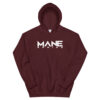 unisex-heavy-blend-hoodie-maroon-front-6032b6d977e6c.jpg